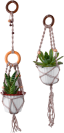 Plant Pots